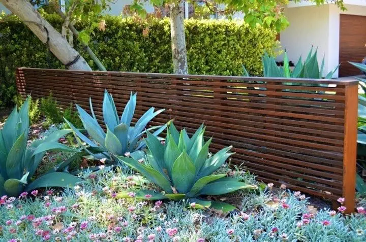 Custom Mediterranean-inspired landscape design with a decorative privacy screen, tropical plants, and ornamental grasses by JM Outdoor Living in The Woodlands, TX.